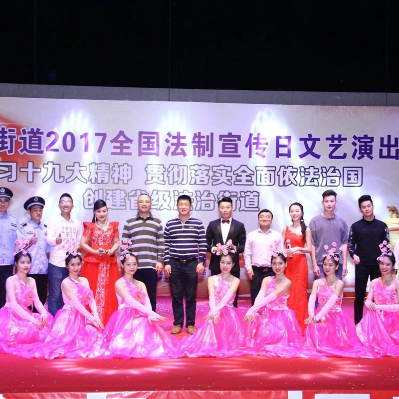 桃源街道2017全国法制宣传日文艺演出——学习十九大精神 贯彻落实全面依法治国创建省级法治街道